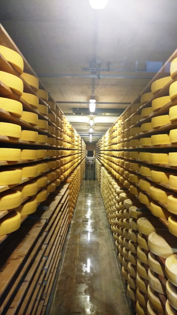Gruyere Cheese Factory in Switzerland. 