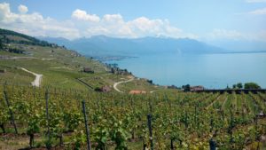 Lavaux Vineyards overlooking Lake Geneva